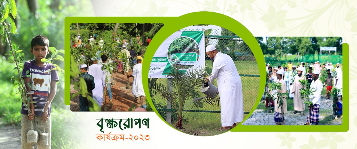 tree-plantation-2023